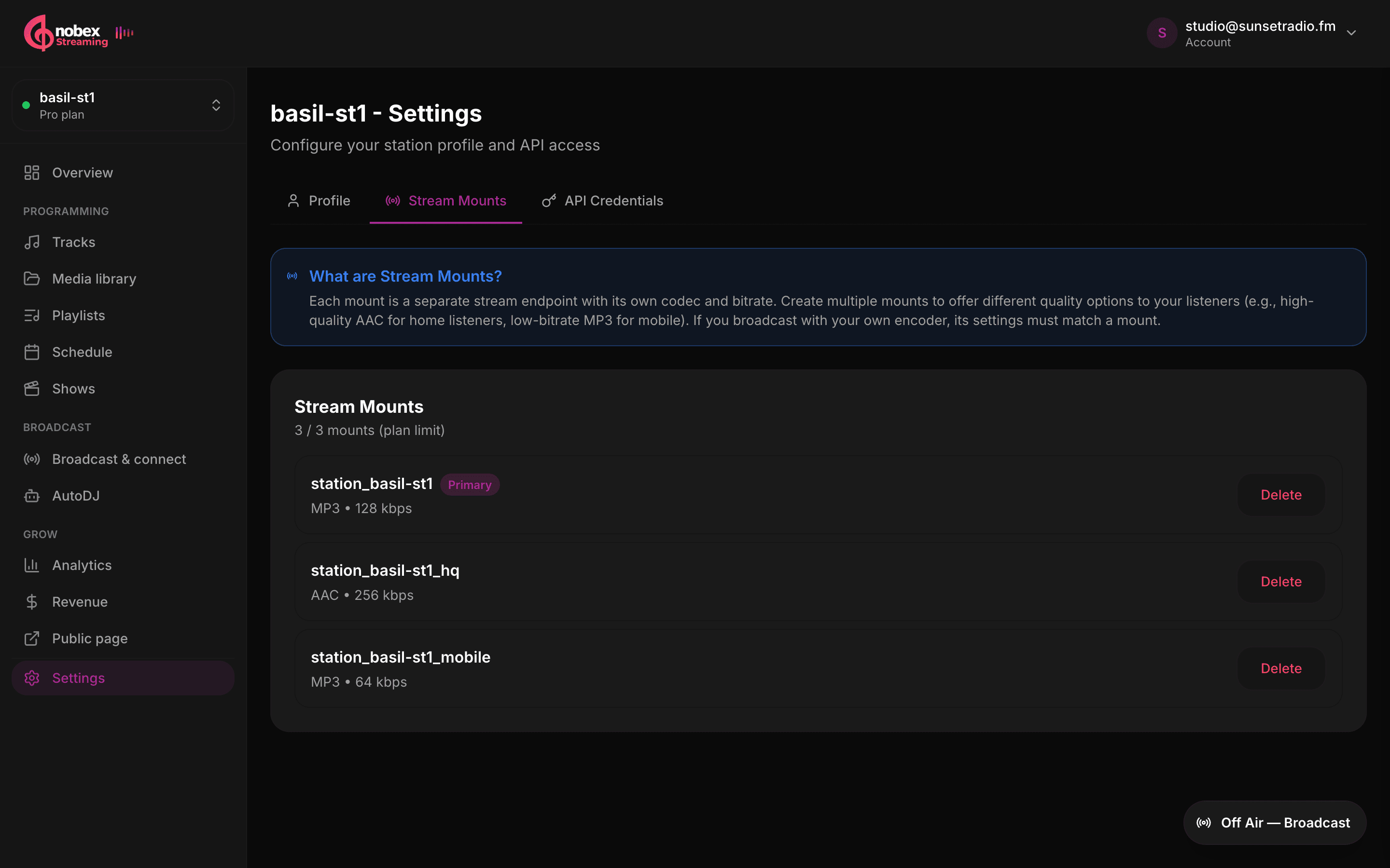 The Stream Mounts manager showing codec and bitrate variants